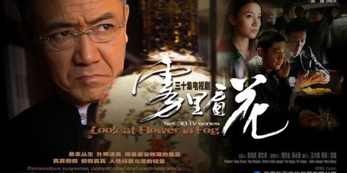 雾里看花电视剧演员表揭秘,星光璀璨的幕后故事