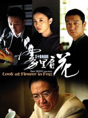 雾里看花电视剧演员表揭秘,星光璀璨的幕后故事