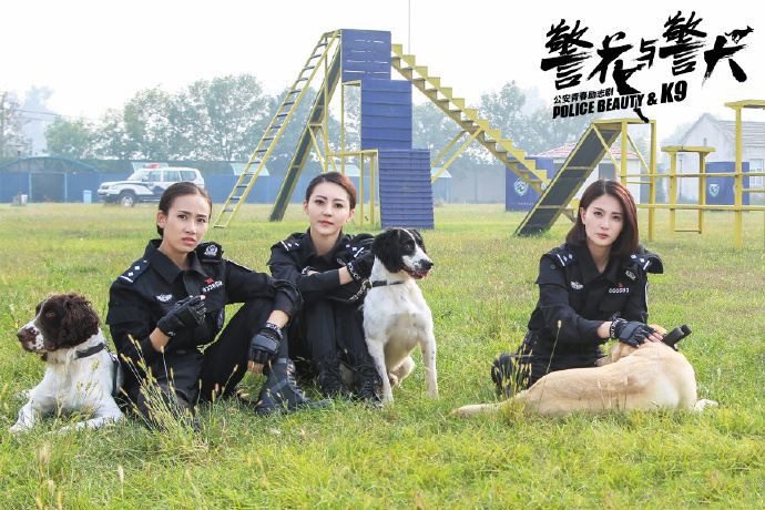 警花与警犬演员表介绍✨，明星阵容一览无余