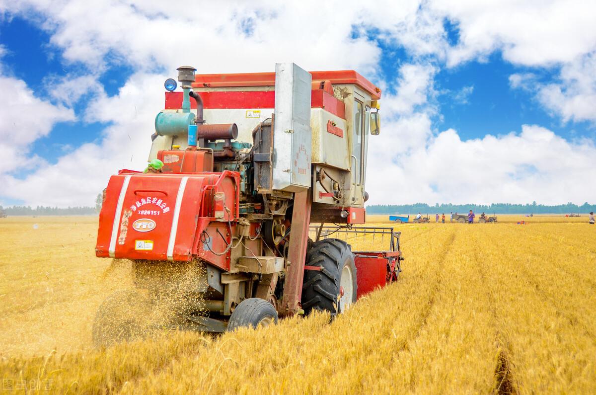 小麦价格走势预测与探索自然美景之旅的双重探索