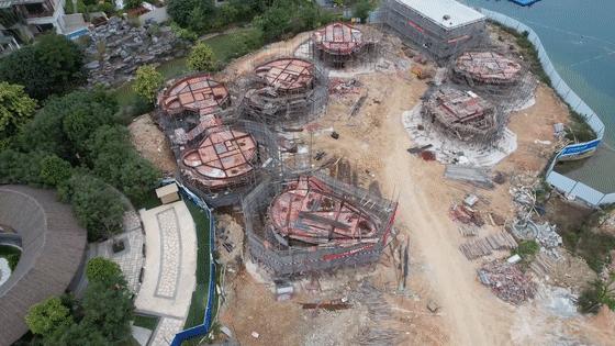 最新树屋,背景、发展、影响与地位概述