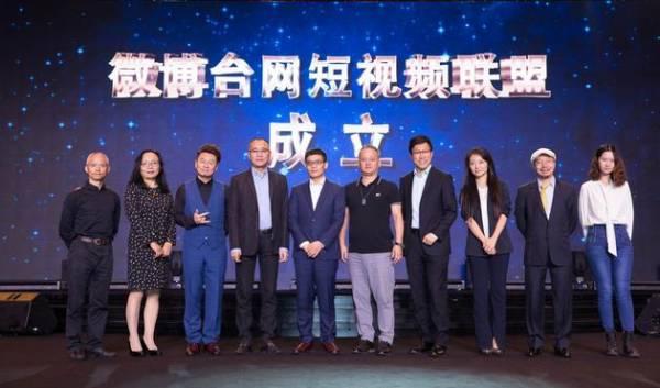 乐视网今日动态步骤指南,最新动态一网打尽