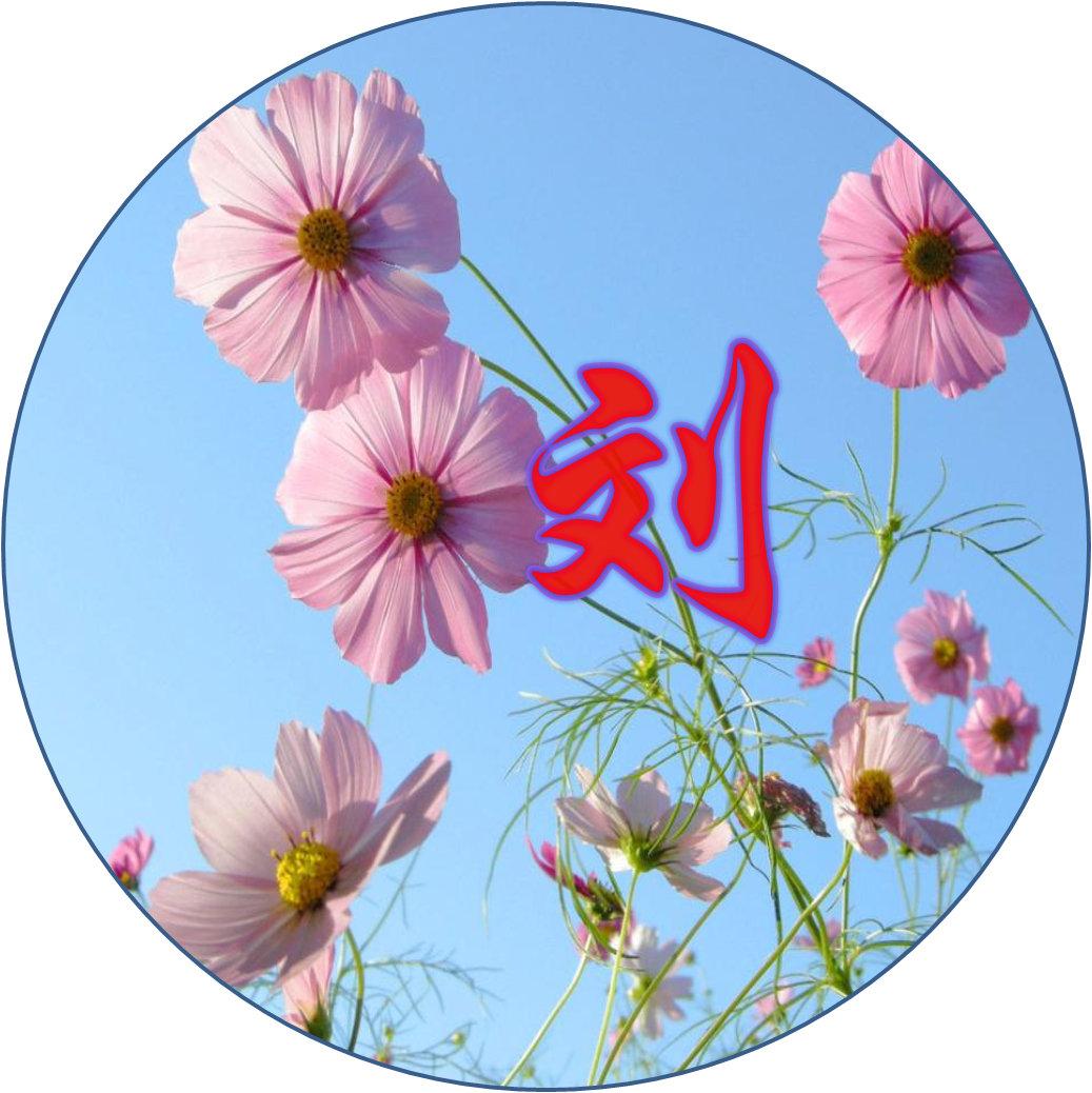 QQ头像2016版新潮科技,革新自我表达,个性头像任你选