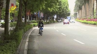 西平最新司机招聘信息,驾驭未来,启程学习之路