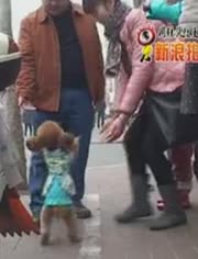 最新搞笑视频,欢乐时光,缔造友情纽带的力量!