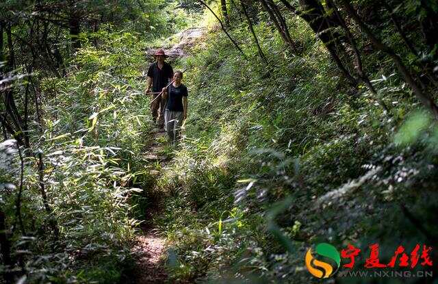 最新情侣深山探险之旅,浪漫回忆的探险视频