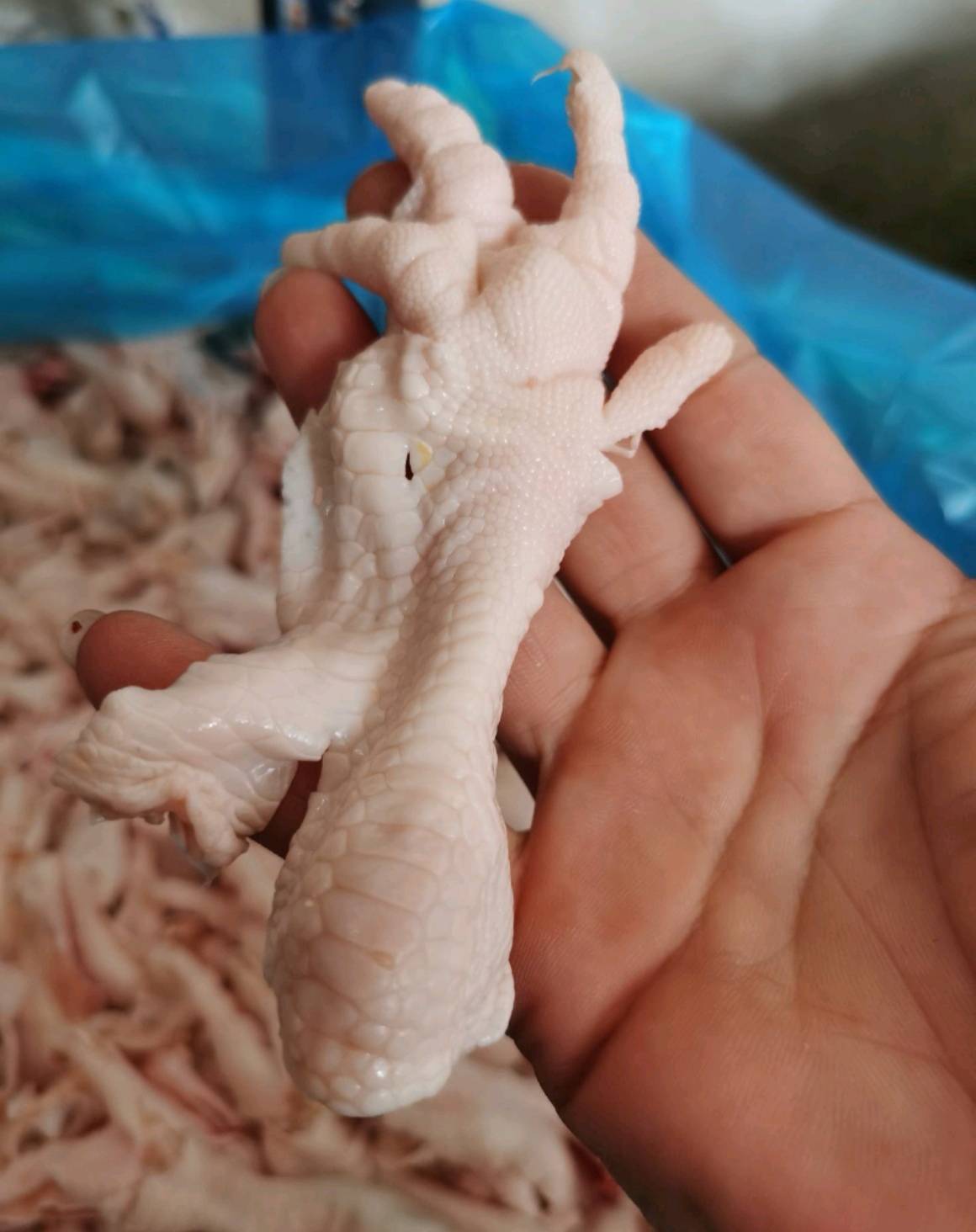 脱骨鸡爪批发价格揭秘,变化、学习与成就的力量影响价格走势