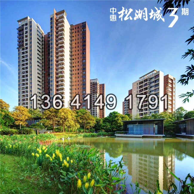 中惠松湖城最新报价及房源信息🏠