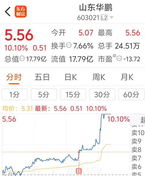 山东华鹏股票股吧,小巷深处的独特风味揭秘