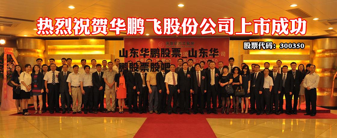 山东华鹏股票股吧,小巷深处的独特风味揭秘