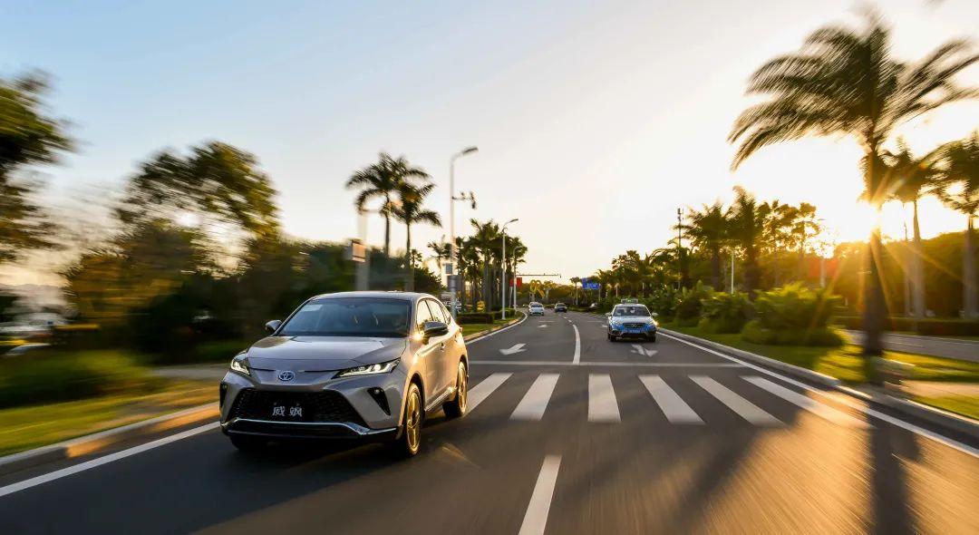 厦门油价调整最新资讯,巷弄深处特色小店探寻的油香之旅