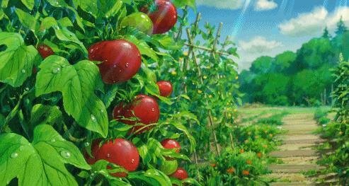 美的最新动态揭秘,小巷中的隐藏宝藏与独特环境小店奇遇