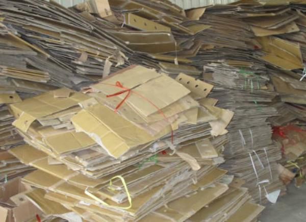 废纸价格最新动态与小巷深处的宝藏小店探秘