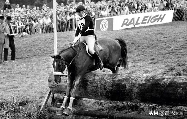 世界马术比赛,背后的温情故事与竞技荣耀