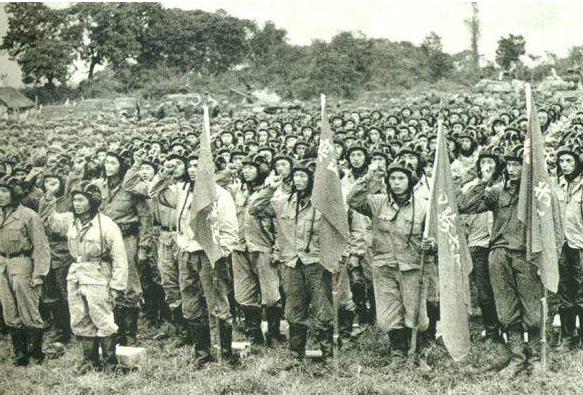 动漫明星大作战,热血荣耀的舞台之战