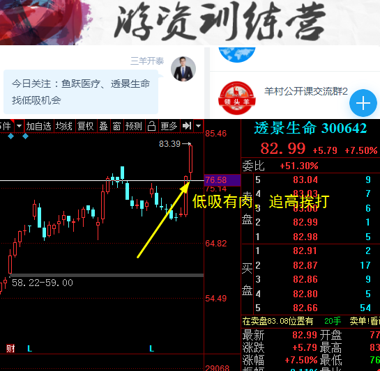 每日精选一股股票推荐，深度分析与个人观点分享