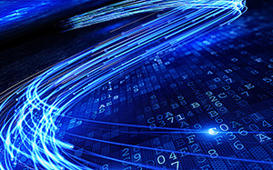 湖北生猪情缘,兴旺猪事与友情长存