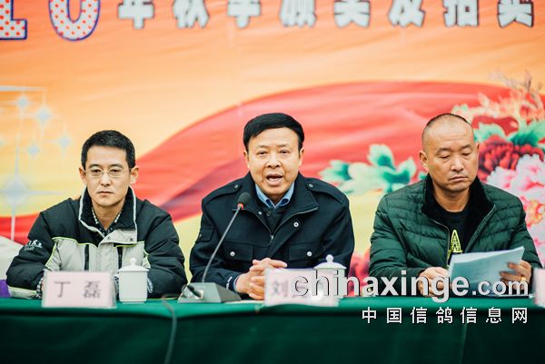 绵阳圣翔公棚最新通告,自然美景探索之旅启程!