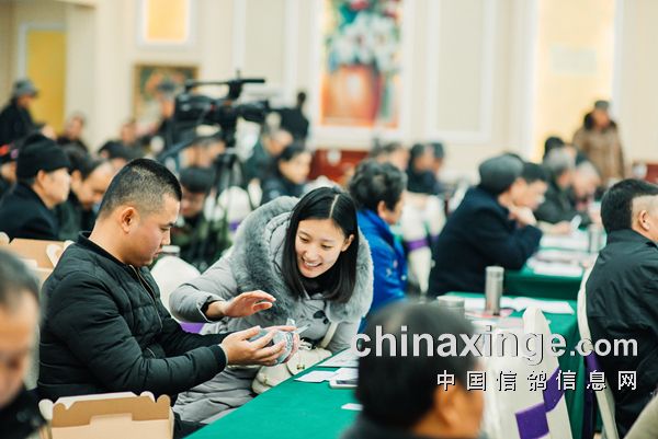 绵阳圣翔公棚最新通告，自然美景探索之旅启程！
