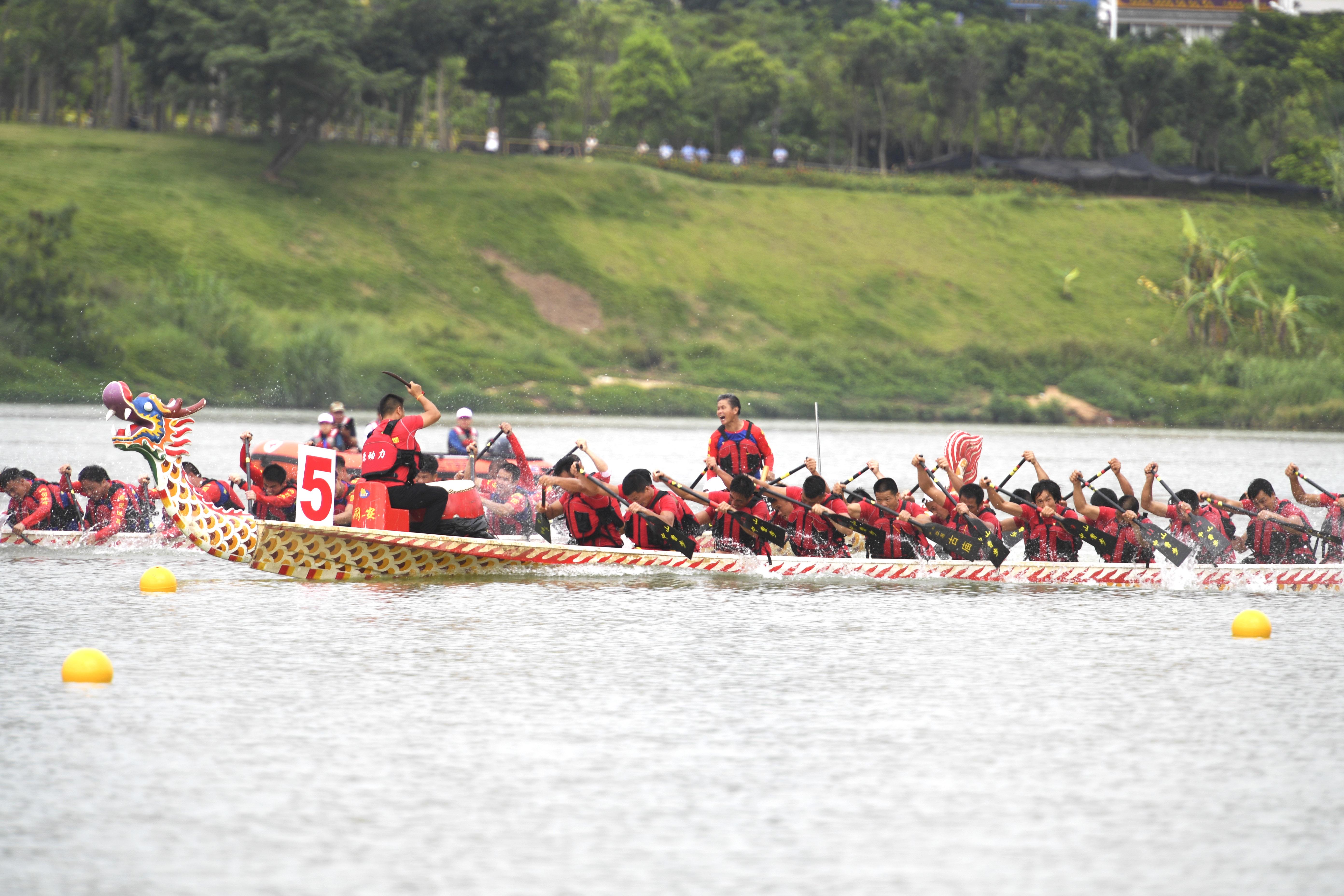 南宁划龙舟比赛全攻略,步骤指南与精彩瞬间