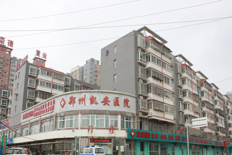 郑州唯棠最新动态深度解析,观点阐述与分析