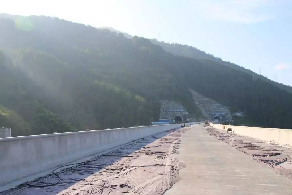 利万高速最新进展,进展情况及影响分析观点一则