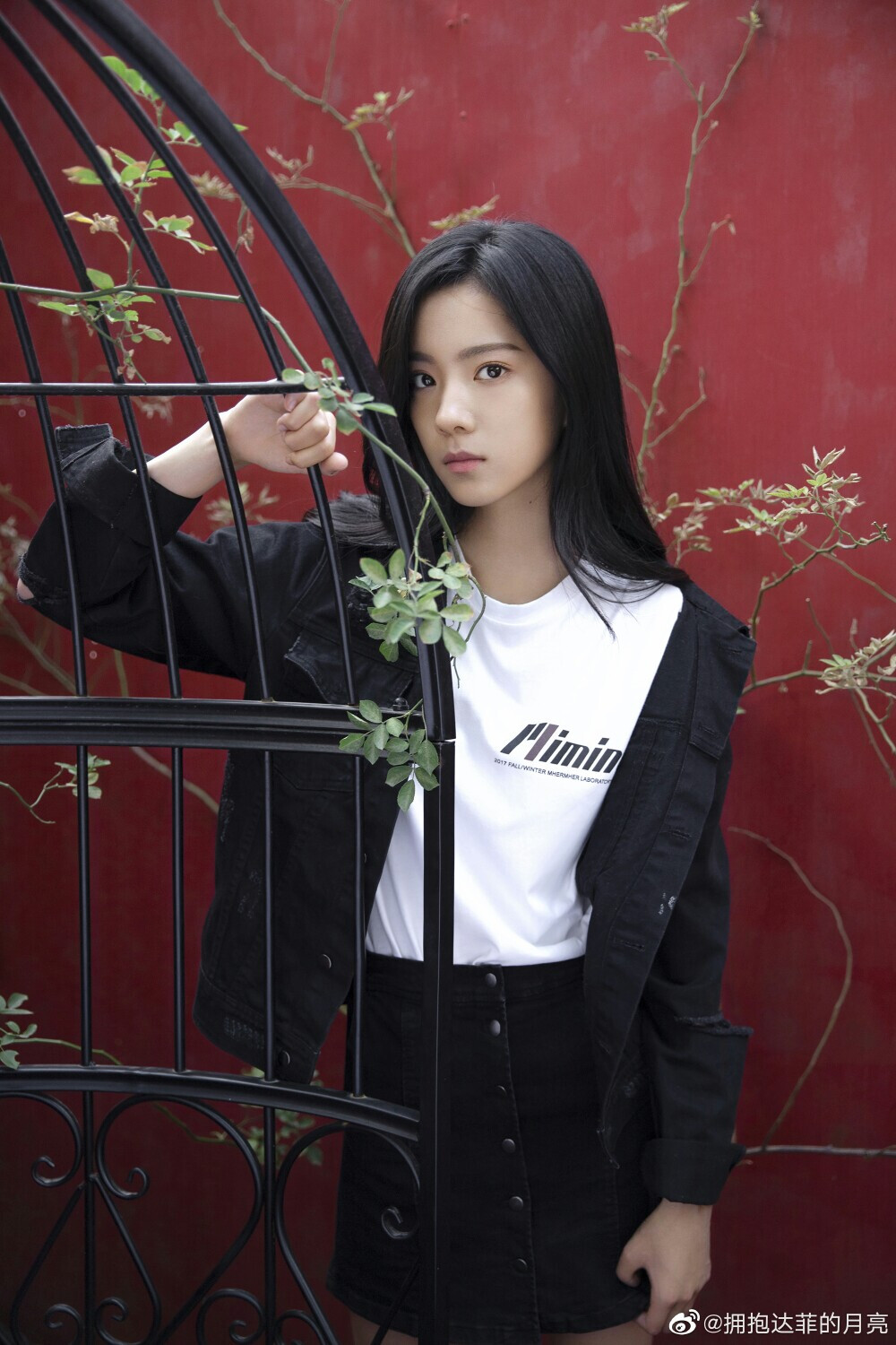 庄达菲新作震撼发布!