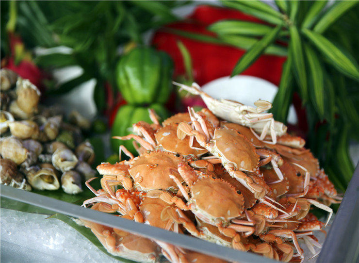 全新美食之旅探秘全球美食文化！