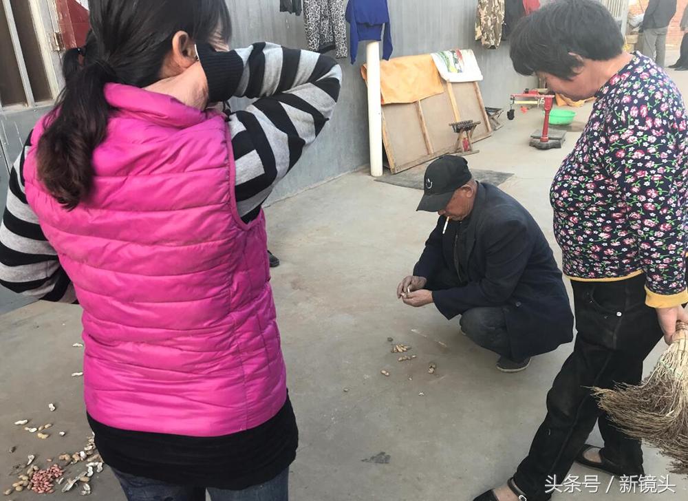 花生最新市场行情概览