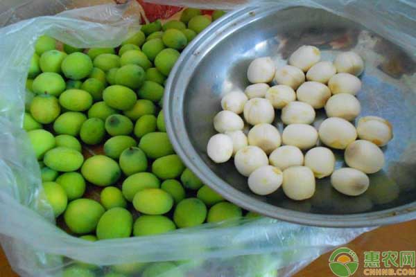 莲子的行情,莲子的行情