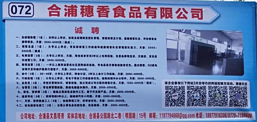 合浦最新职位招聘全面解析,观点阐述与分析