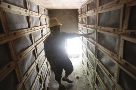 最新蛇笼养殖技巧揭秘,专业指南助你成功养殖蛇类🐍✨