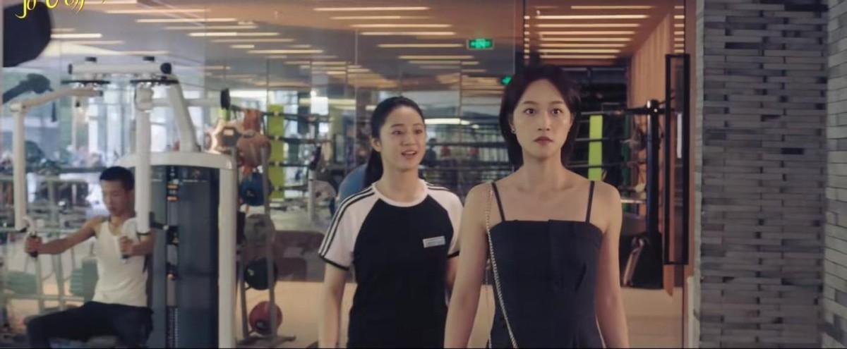 最新女性剧集,重塑女性角色的力量与影响力