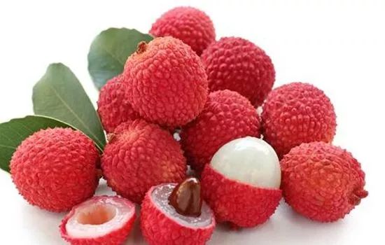 最新水果行情,学习变化,享受果实盛宴,拥抱自信与成就感