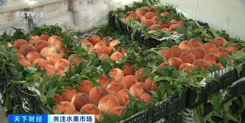 最新水果行情,学习变化,享受果实盛宴,拥抱自信与成就感