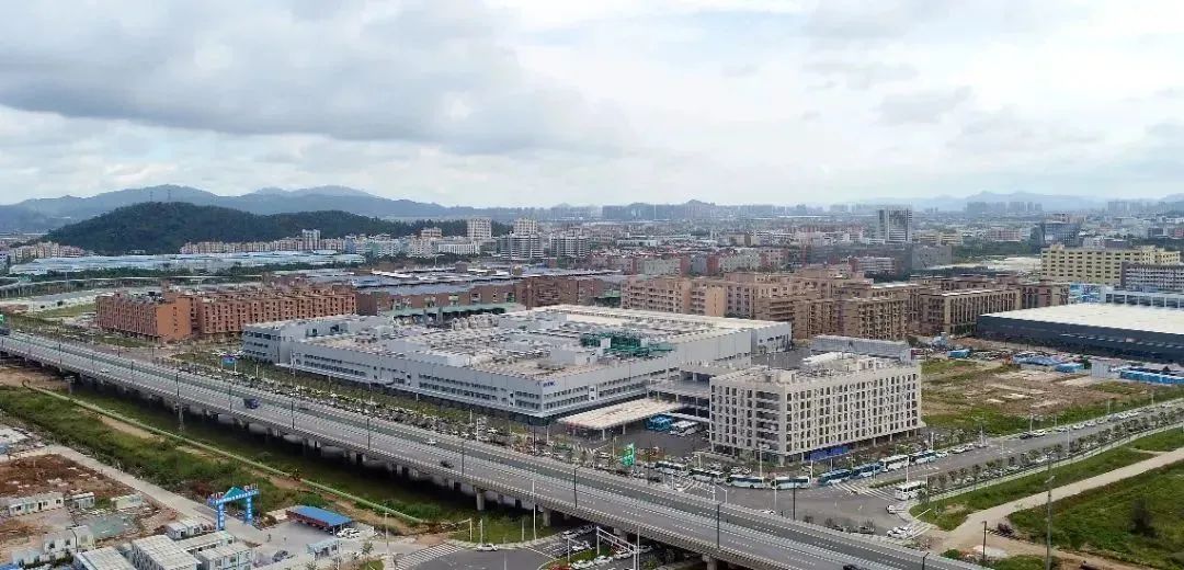 CCYY最新动态更新