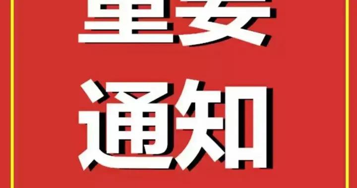 惠盈行情通，金融领域的璀璨新星崛起