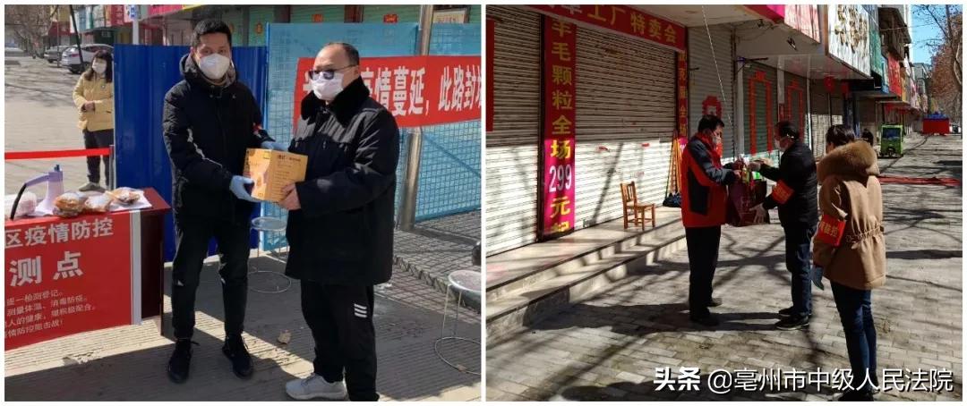 利辛疫情动态,观点阐述与深度分析