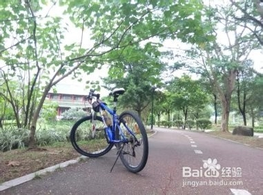 骑行比赛的注意事项详解与观点论述