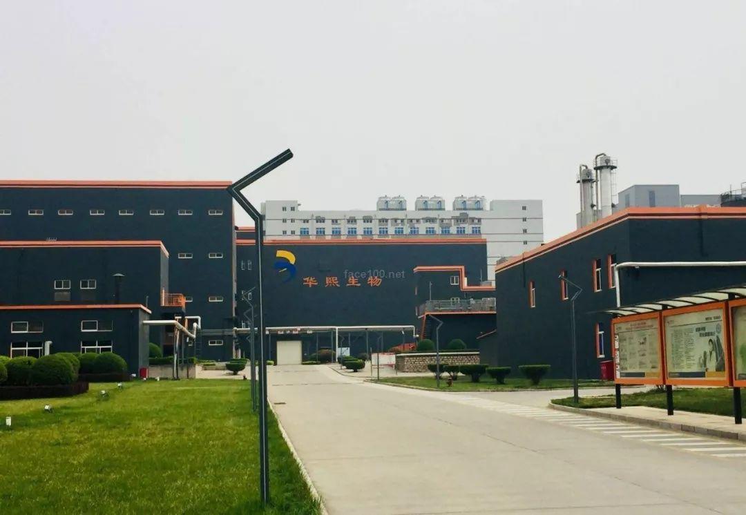 IPO上市排队查询,洞悉企业走向资本市场的步伐与状态