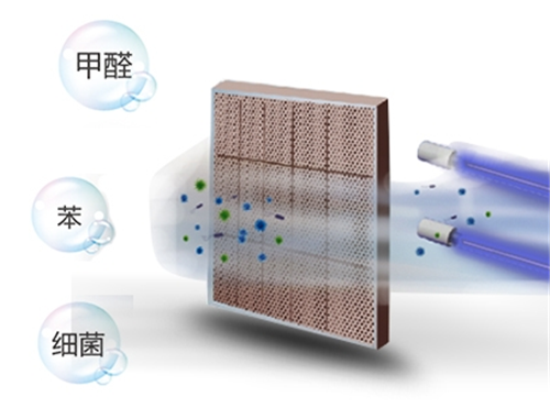 新型甲醛去除技术详解，步骤指南与操作手册