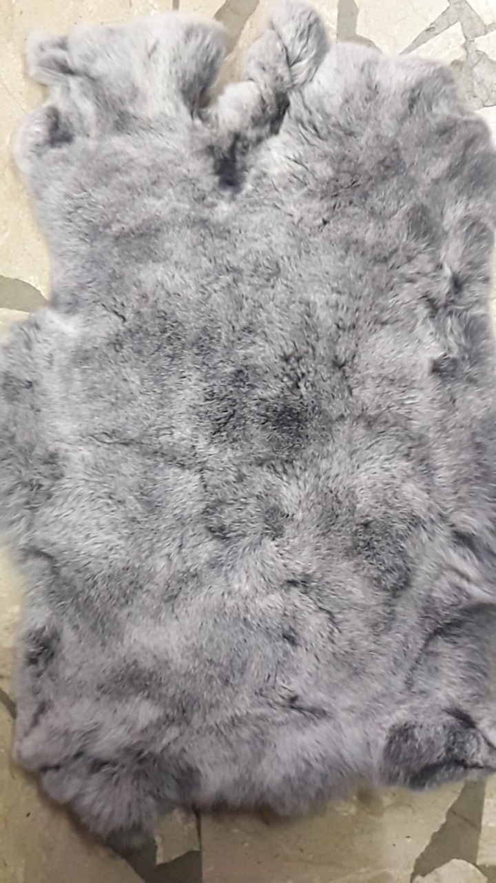 兔皮最新价格动态,自然美景中的旅行邂逅新行情