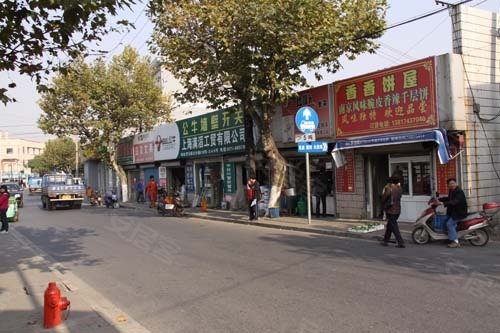 罗泾最新房价概览，全面解析当前房价走势与房源信息