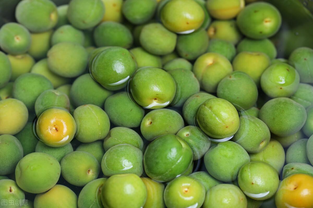 青梅上市,巷弄深处的青梅风味探秘之旅
