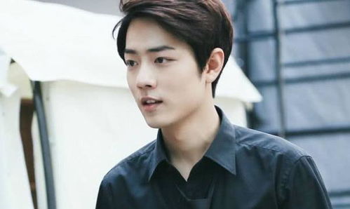 肖战演艺之旅,巷弄星光与美食探秘的交织剧之旅