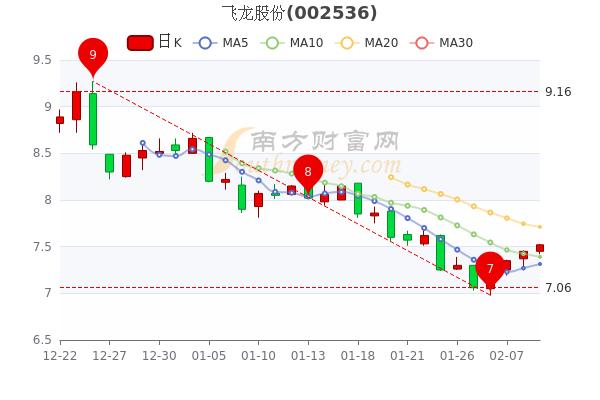飞龙股份股票股吧深度解析,洞悉股市风云,掌握投资先机!