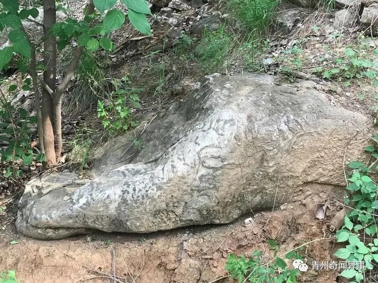 天外飞星最新力作,学习掌握新技能的完整步骤指南