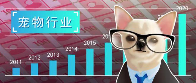 宠物行业上市公司,见证成长与变化的力量