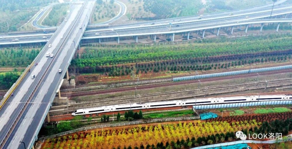 洛阳动车停放线最新动态,动车上的友情与家的温馨