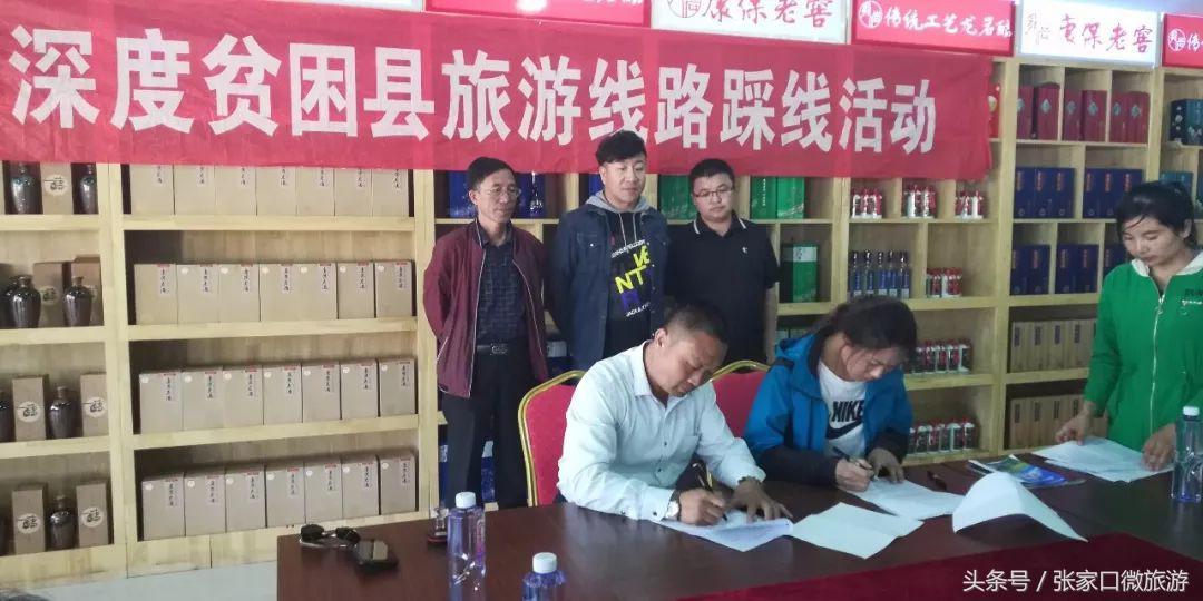 上市旅行社,背景、发展、影响及在旅游新时代的地位